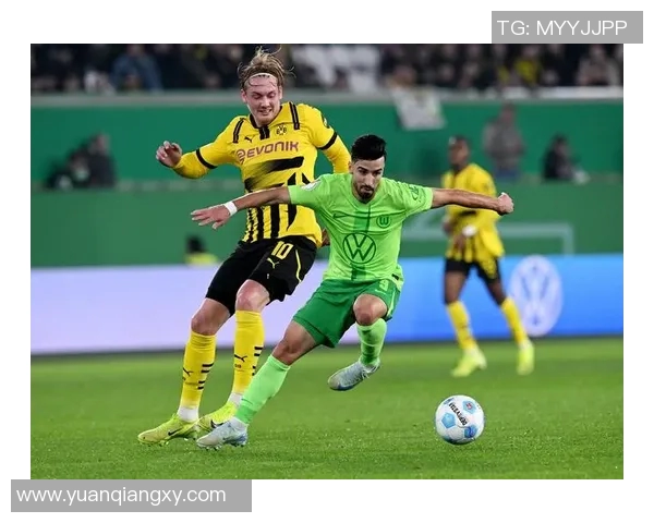 沃尔夫斯堡主帅道尔评析球队处境，展望未来战局