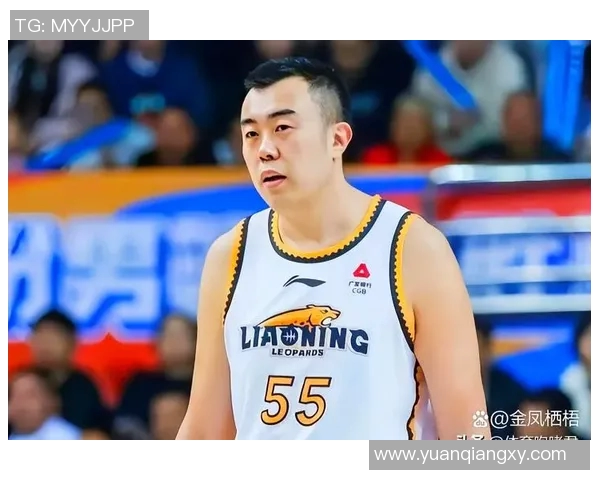 韩德君的篮球生涯回顾与未来展望：从青涩新星到CBA传奇巨星的成长之路