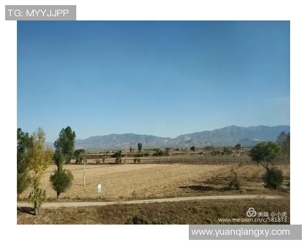 斯通斯的传奇之旅探寻摇滚乐的灵魂与历史的交汇